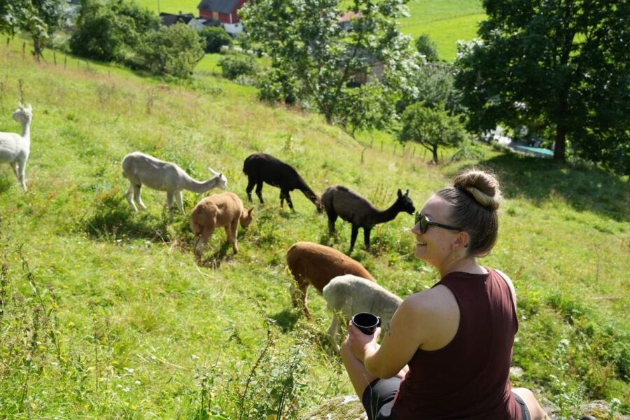 Vik i Sogn: Authentic Farm Visit - Price and value: is $29 worth 80 minutes?