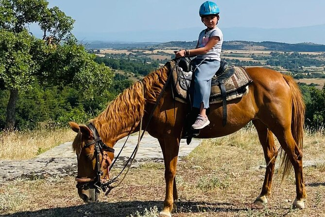Visit a Farm and Horseback Riding in Nature - Key Highlights Worth Planning Around