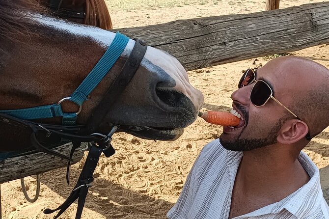 Visit a Farm and Horseback Riding in Nature - Farm Animals After the Ride: More Time Than You’d Expect