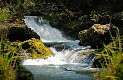 Visit Aburi Garden, Tetteh Quarshie Cocoa Farm & Waterfall - Aburi Botanical Gardens in the Aburi Hills: Plants, Flowers, and Viewpoints