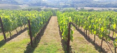 Visit Siena and San Gimignano with lunch at a family farm - Siena’s UNESCO streets and Piazza del Campo in 90 minutes