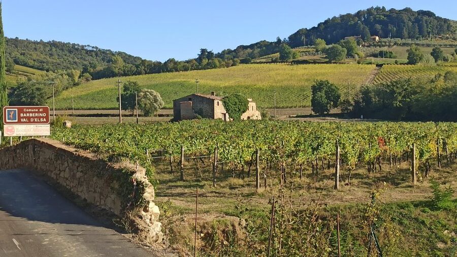 Visit Siena and San Gimignano with lunch at a family farm - Chianti hills photo stop: quick views, no pressure