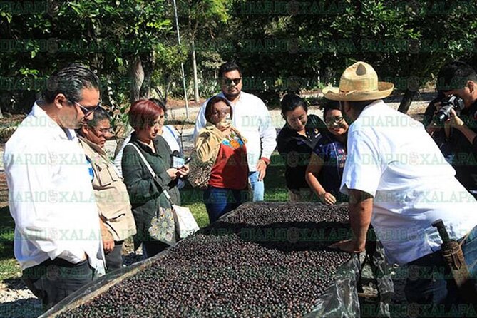 Visit to Coffee Farm with Tasting in Coatepec - Who should book this Coatepec coffee farm tour