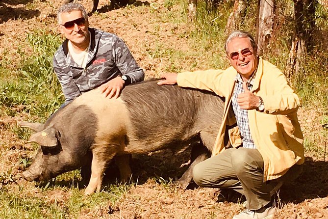 Visit to the Cinta Senese farm in Montepulciano - Key Highlights You’ll Feel Right Away
