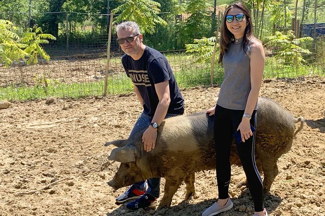 Visit to the Cinta Senese farm in Montepulciano - Small Cellar and Cutting-Board Tastings: Where Flavor Gets Built