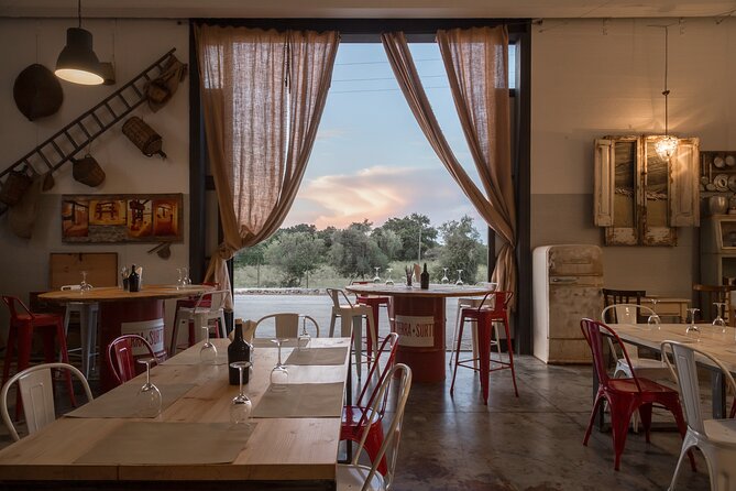 Visit to the olive grove, oil tasting and lunch at the farm - Key points worth knowing