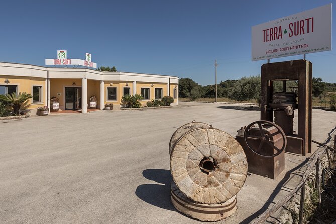 Visit to the olive grove, oil tasting and lunch at the farm - How the tour flows in about two hours