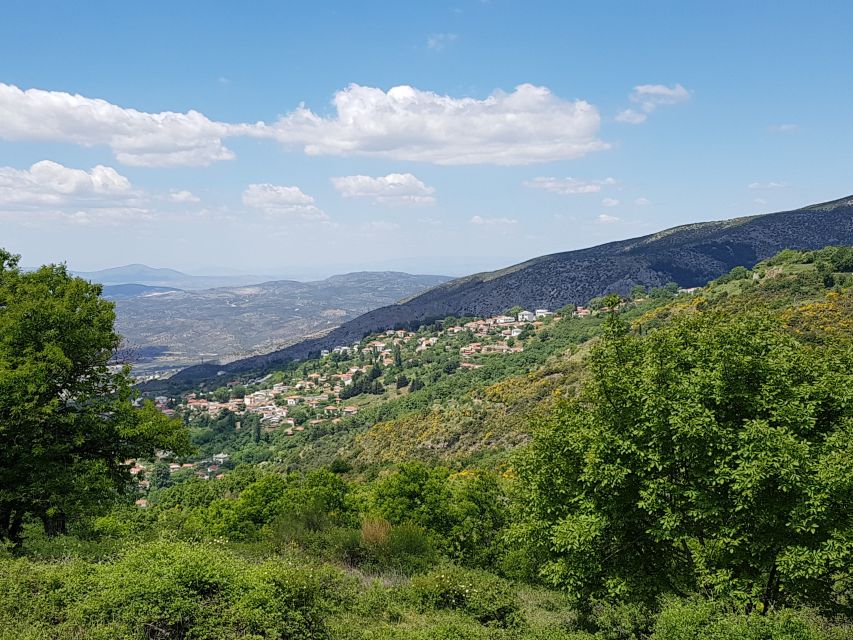 Volos: Cook Like a Local at a Greek Farm - Wood-fired oven cooking lesson: how locals actually cook