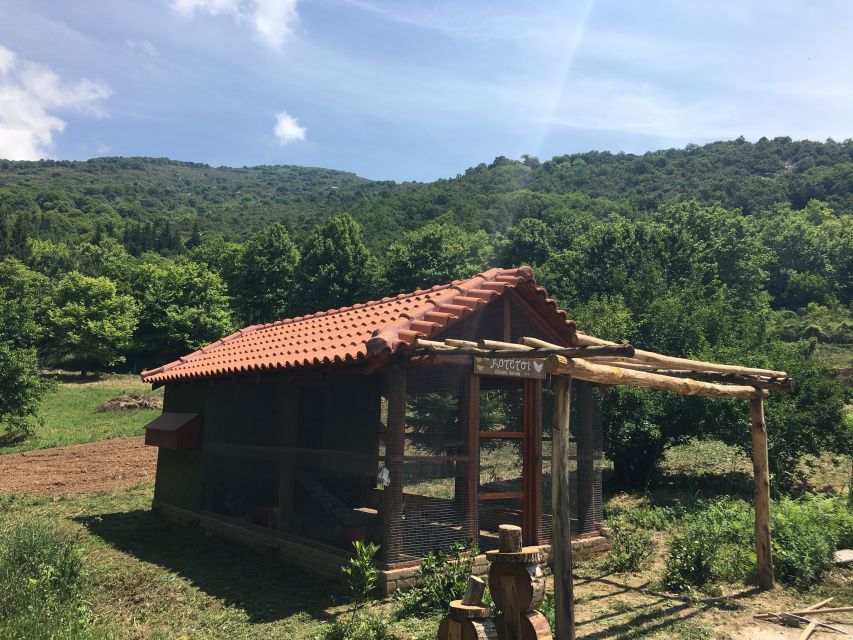Volos: Cook Like a Local at a Greek Farm - Price and Logistics: is $113 worth it for 3.5 hours?