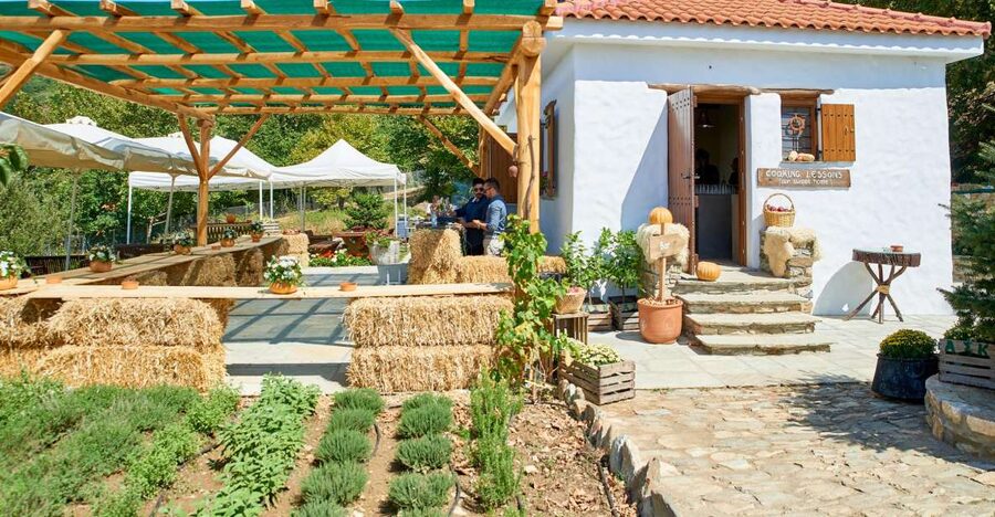 Volos: Cook Like a Local at a Greek Farm - Tips to get the most out of your half day on the farm