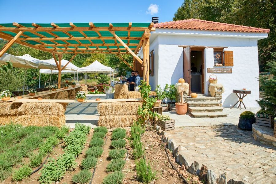 Volos: Cook Like a Local at a Greek Farm - From garden to plate: harvesting vegetables and fresh eggs
