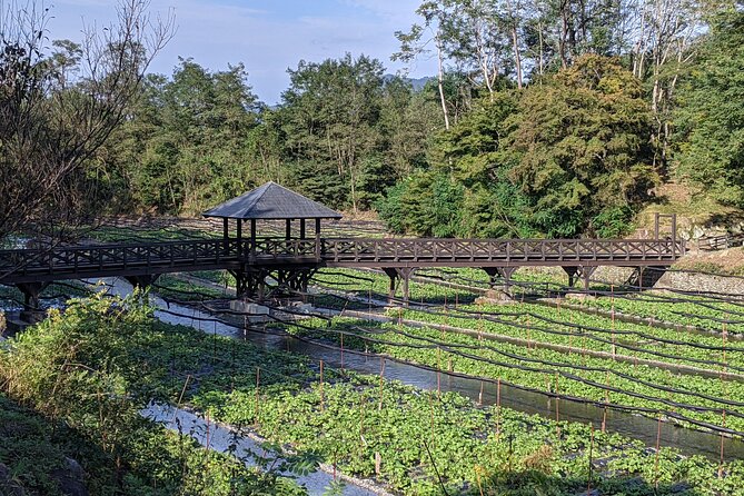 Wasabi Farm Walking Tour & Lunch - The lunch stop at Shinshu: wasabi you can taste (and reason about)