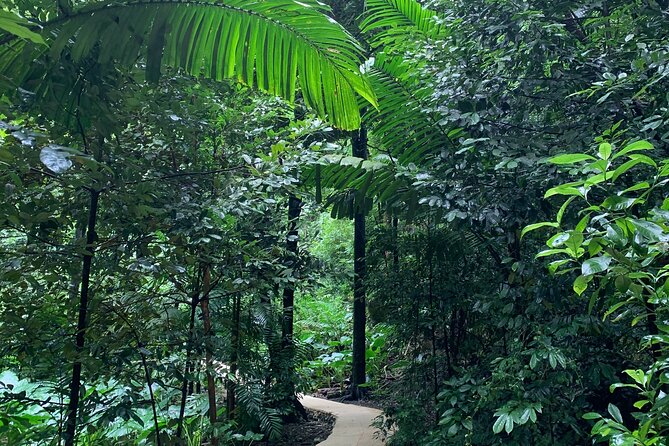 Welchman Hall Gully, Hunte’s Garden and Peg Farm Family Day - PEG Farm and Nature Reserve: map time, bumpy roads, and Hackleton Cliff views