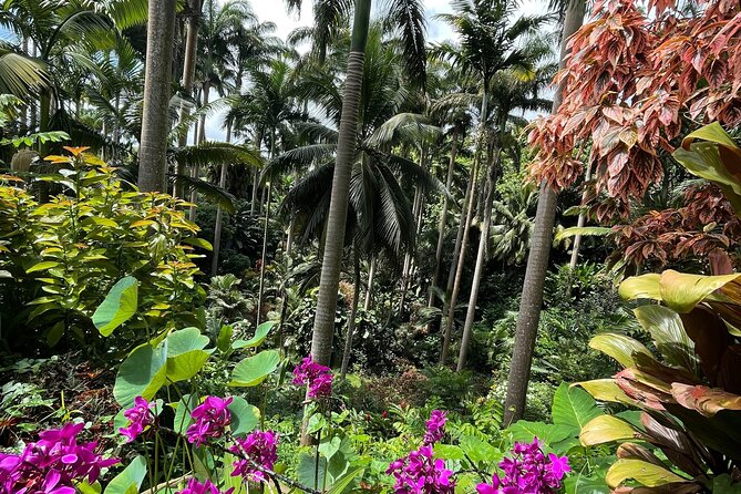 Welchman Hall Gully, Hunte’s Garden and Peg Farm Family Day - The private-group feel: spacious van, bottled water, and Bajan hospitality