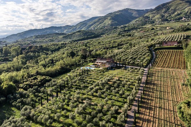 Wine and olive oil tasting & farm tour - Key highlights at Colle di Bordocheo