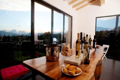 Wine and olive oil tasting & farm tour - The short walk: gardens, courtyard, and an easy start