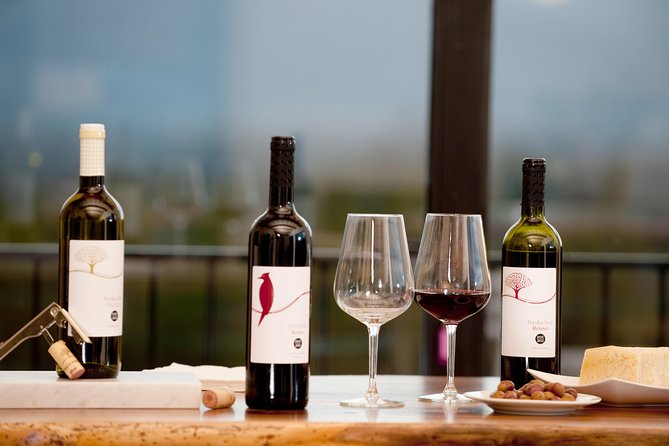 Wine and olive oil tasting & farm tour - Who the hosts are and how the explanation lands