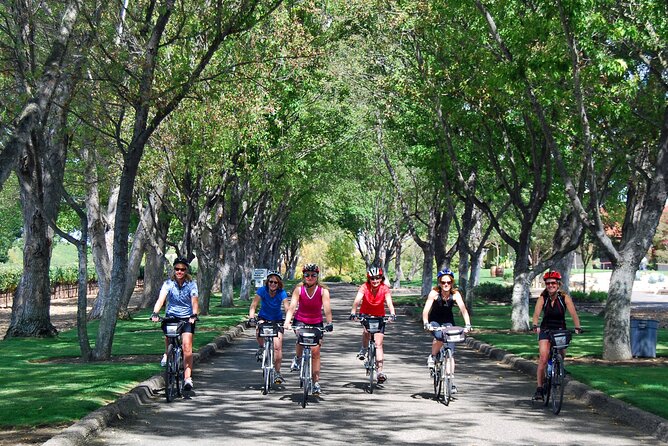 Wine Country Farm to Table Bike Tour w/Lunch - How hard is it, really? E-bikes, heat, and pacing