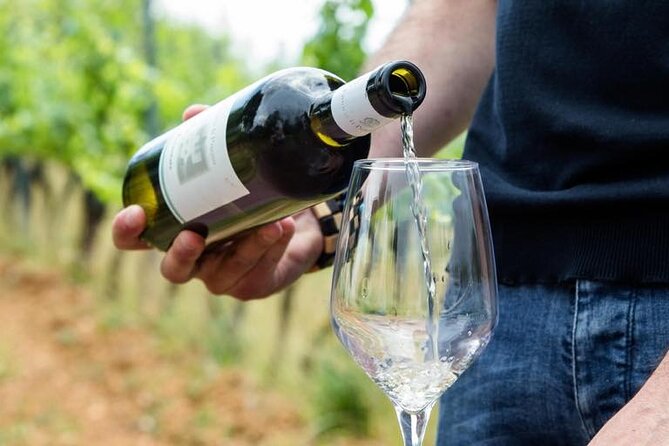 Wine Experience in farm vineyard & winery from Montecatini T. - Price and logistics: what $102.80 buys you