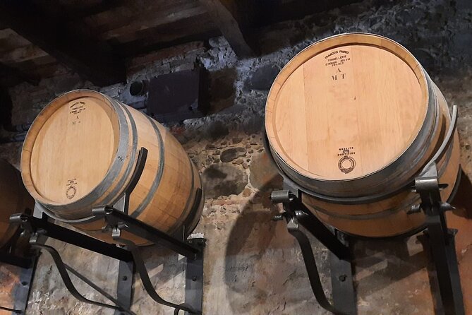 Wine Experience in farm vineyard & winery from Montecatini T. - Buying olive oil and farm products before you leave
