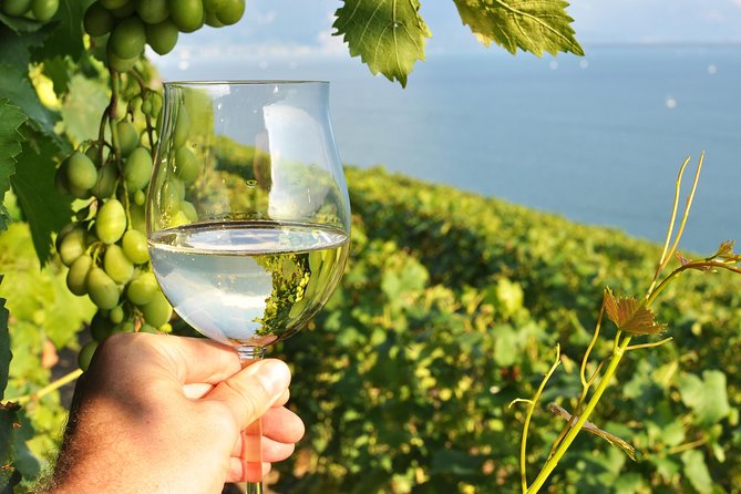 Wine Tasting and lavender Farm Tours - Niagara-on-the-Lake in a Tight 4 Hours: Wine, Lavender, and Chocolate