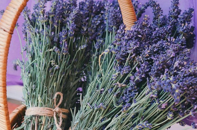 Wine Tasting and lavender Farm Tours - Chocolate Factory Finale: A Sweet End That Feels Like Part of the Plan