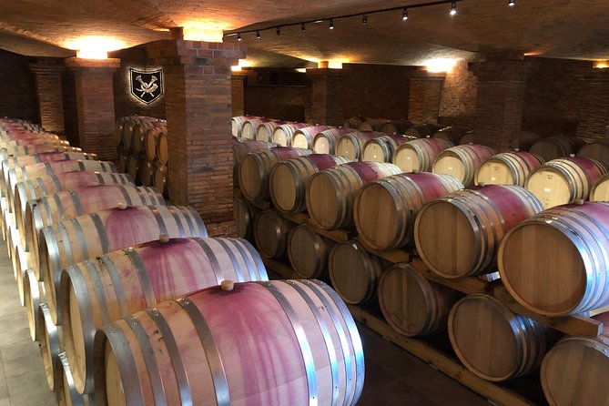 Wine Tasting, Cape Dutch Farm and Art Day Tour from Cape Town - La Motte Wine Estate: Comfortable Tastings With Art in the Background