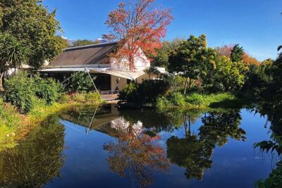 Wine Tasting, Cape Dutch Farm and Art Day Tour from Cape Town - Babylonstoren’s Edible Garden: Where “Farm” Means Something You Can Taste