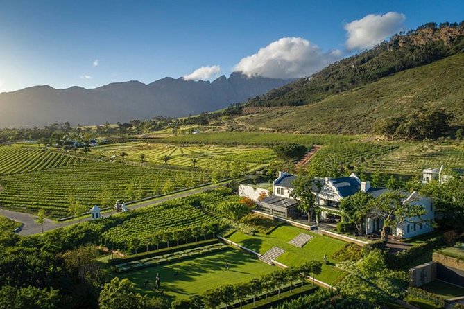 Wine Tasting, Cape Dutch Farm and Art Day Tour from Cape Town - Private Motor Museum + Art Collection: When the Day Turns Unexpected
