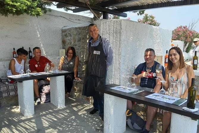 Wine Tasting Tour at a traditional farm in Mykonos - Snack Pairing: Why Bread, Cheese, and Meats Matter Here