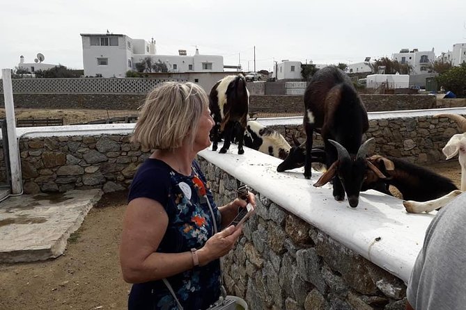 Wine Tasting Tour at a traditional farm in Mykonos - Price and Value Check: What $90.70 Gets You