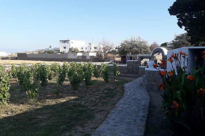 Wine Tasting Tour at a traditional farm in Mykonos - Potential Downsides to Consider Before You Book
