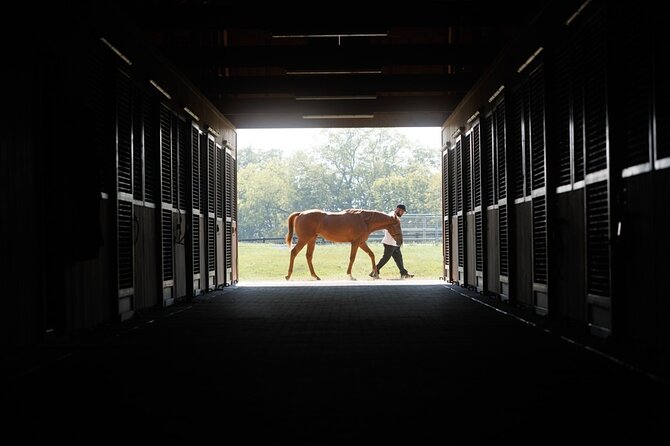 Woodford Reserve, Kismet Thoroughbred Farm & Whiskey Thief - Kismet Thoroughbred Farms: Why the Horse Farm Stop Is the Surprise Star