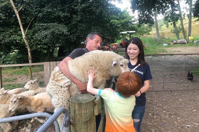 Wool Sheep Farm Experience with Handmade Wool Hat in New Zealand - Key highlights to know before you go