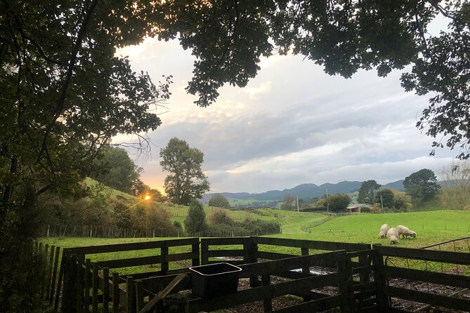 Wool Sheep Farm Experience with Handmade Wool Hat in New Zealand - From Fleece to Yarn: Organic Processing, Hand Dye, Hand Spinning, Knitting