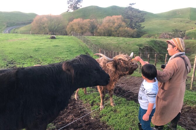 Wool Sheep Farm Experience with Handmade Wool Hat in New Zealand - Try Wool Spinning Yourself: A Small Skill With Big Satisfaction