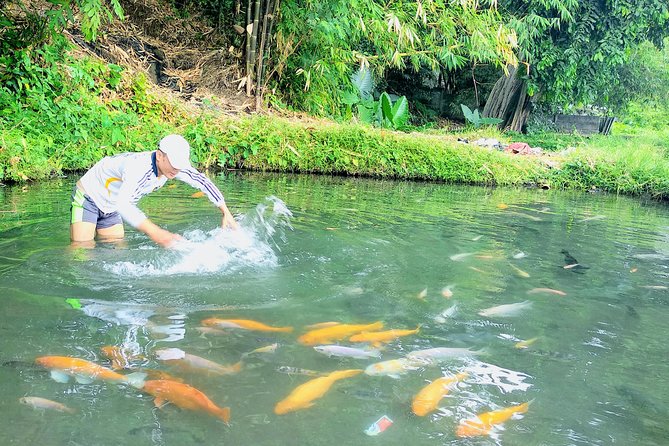 Yogyakarta Cycling Tour Around the Villages and Fish Farm - Sendang Sombomerti Fish Farm: Fish Therapy and a Spring-Water Lunch