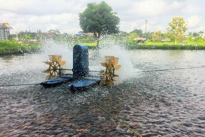 Yogyakarta Cycling Tour Around the Villages and Fish Farm - What to Bring (So You Don’t Have to Improvise)