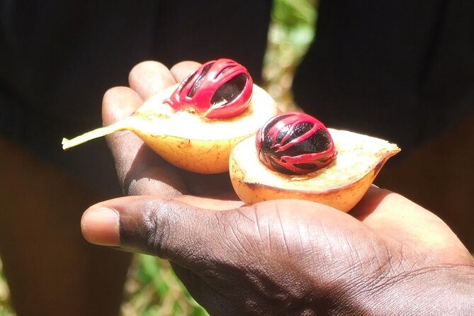 Zanzibar Cooking Class [Swahili food test ] and Spice farm Private tour - FAQ