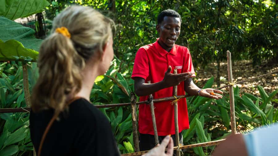 Zanzibar: Day Jozani Forest,Spice Farm,Nature and Savor Tour - Jozani Forest: red colobus and mangrove habitat, not a zoo stop