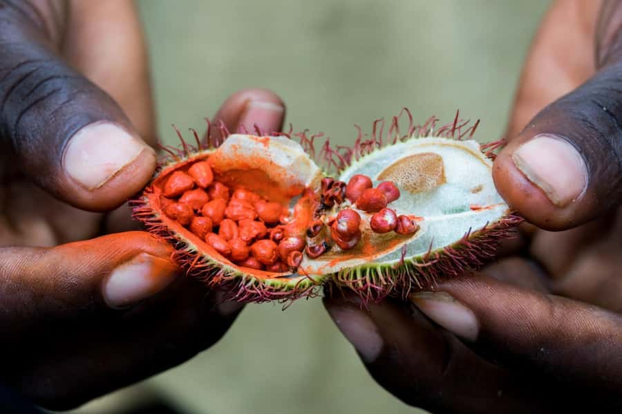 Zanzibar: Day Jozani Forest,Spice Farm,Nature and Savor Tour - The mangrove boardwalk: when the forest gets quiet