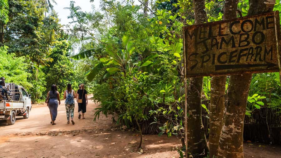 Zanzibar: Half-Day Spice Farm Tour,the flavours of Zanzibar - Inside the Private Spice Farm: What the Guided Walk Really Teaches