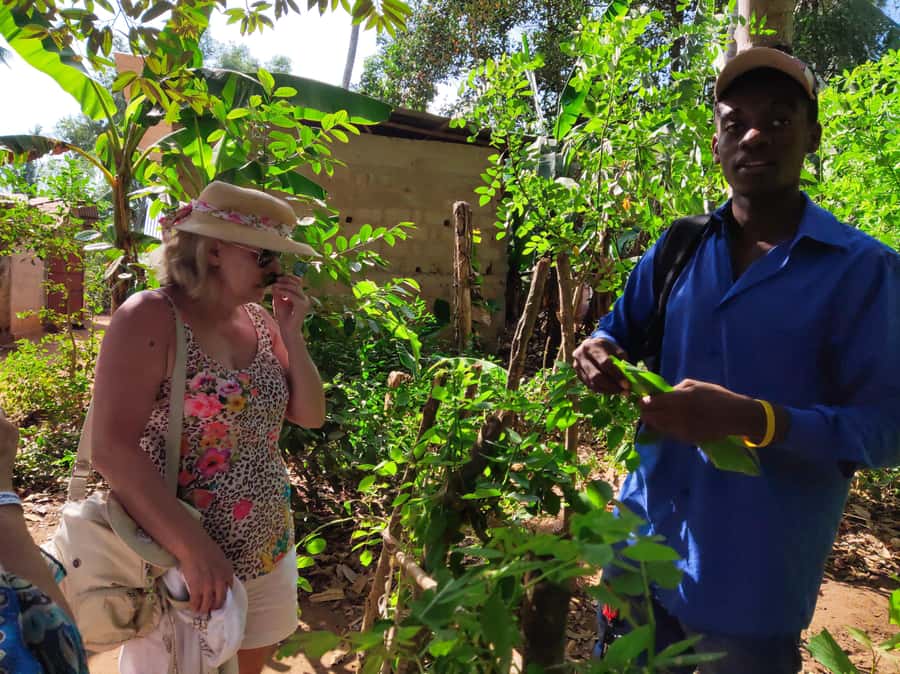 Zanzibar: Half-Day Spice Farm Tour,the flavours of Zanzibar - Shopping on a Spice Farm: How to Avoid Paying Extra