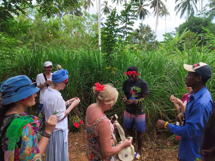 Zanzibar: Half-Day Spice Farm Tour,the flavours of Zanzibar - Who This Half-Day Spice Farm Tour Is For