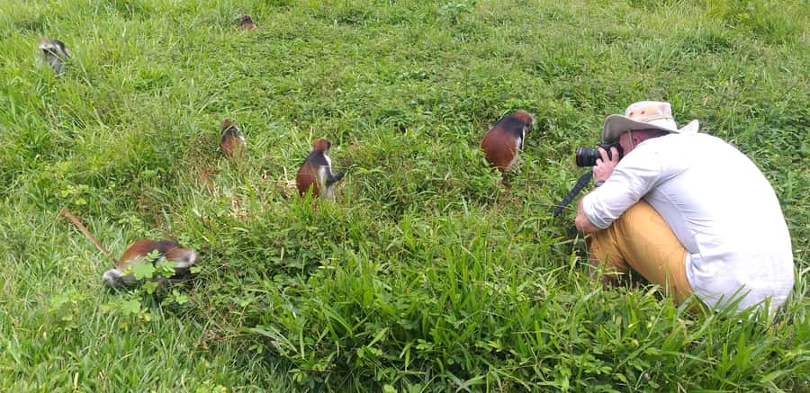 Zanzibar: Jozani Chwaka Bay National Park and Spice Farm … - Key Things You’ll Notice on This Trip