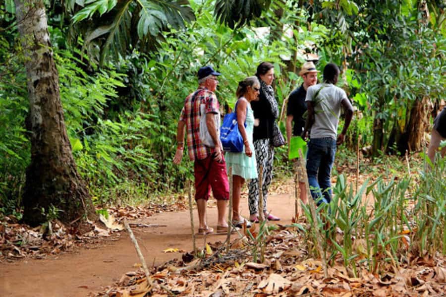 Zanzibar: Jozani forest tour & Spice farm tour with lunch - Lunch that fits Zanzibar: pilau rice and tropical fruit