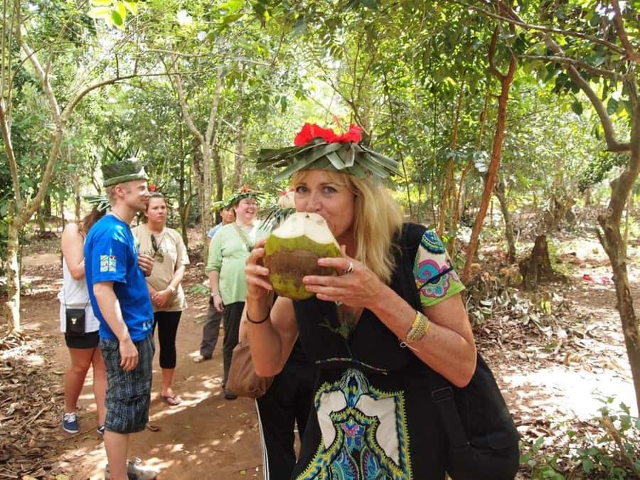 Zanzibar: Jozani forest tour & Spice farm tour with lunch - Spice farm walking: herbs, village life, and how spices are actually used