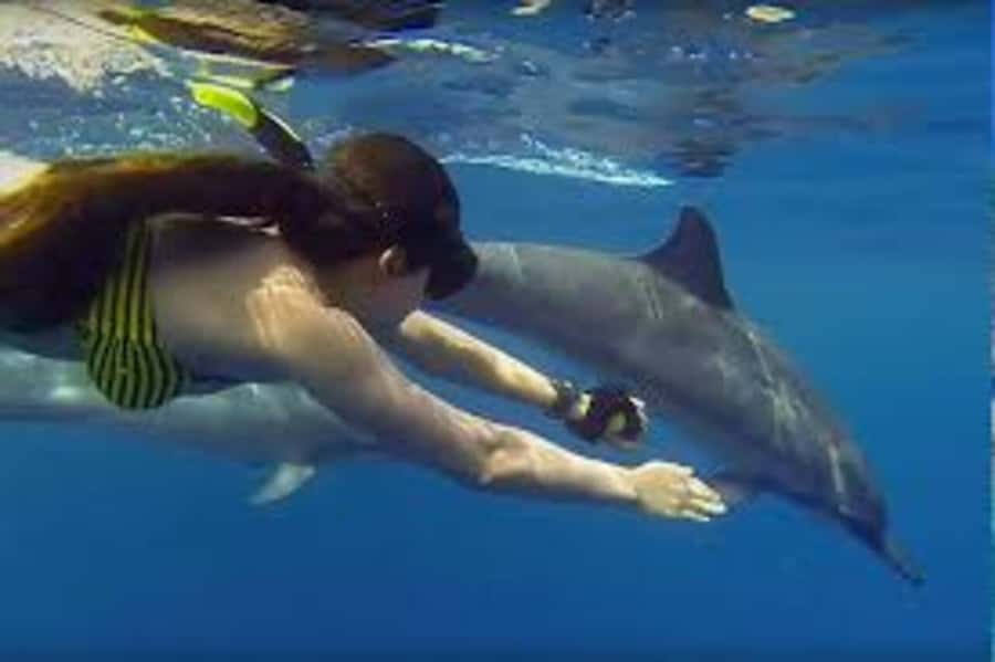 ZANZIBAR: Mnemba island, Baraka aquarium and spice farm - Who should book this Zanzibar dolphin + spice + turtle day?
