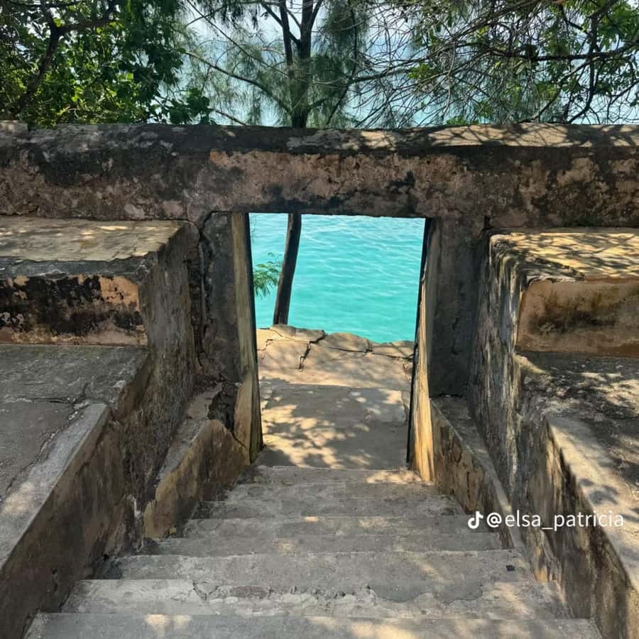 ZANZIBAR: Prison Island, Spice Farm Visit & Turtle Swim Tour - Key highlights worth getting excited about