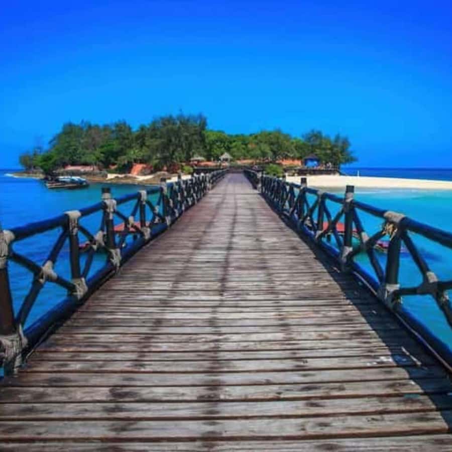 ZANZIBAR: Prison Island, Spice Farm Visit & Turtle Swim Tour - Aldabra tortoise viewing: what to do for the best experience